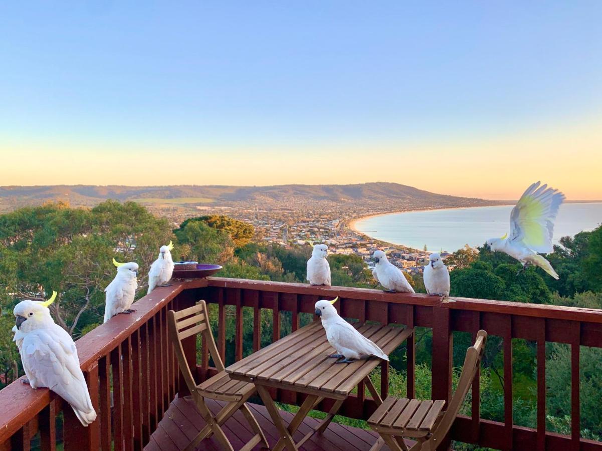 Kinoie Mornington - Oceanview Villa Mount Martha Ngoại thất bức ảnh